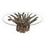 Oceans Apart LAW153 Leila Branchwood Round Dining Table 130cm