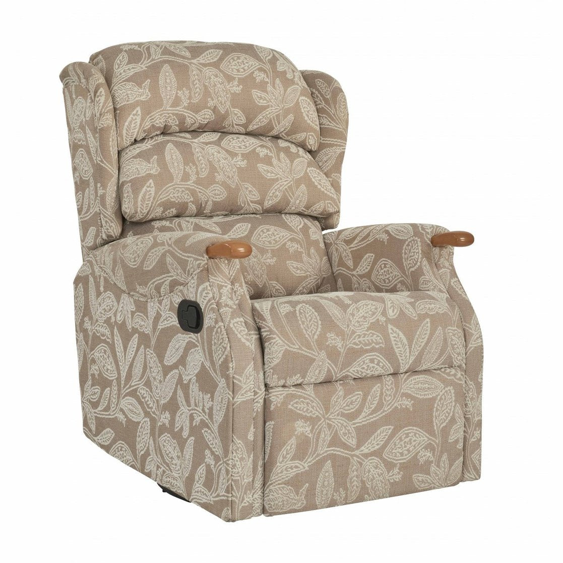Celebrity Westbury Standard Chair - Hunter Furnishing
